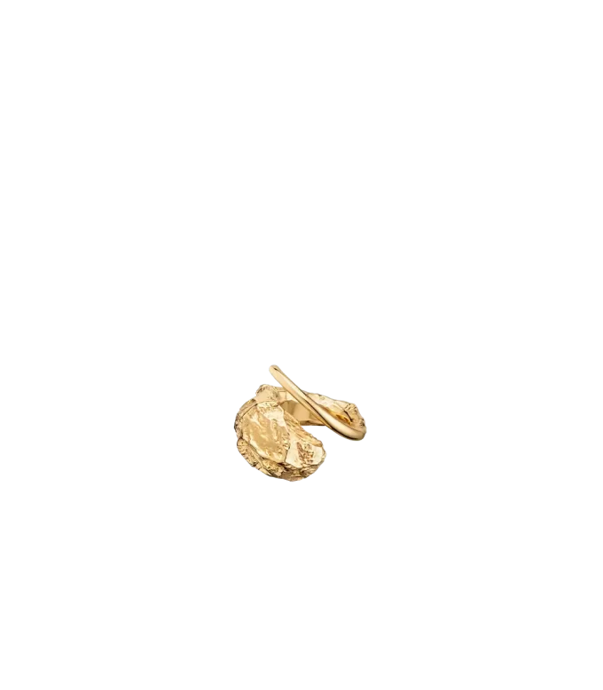 Eroz Ring Edition  24 carat gold gilded