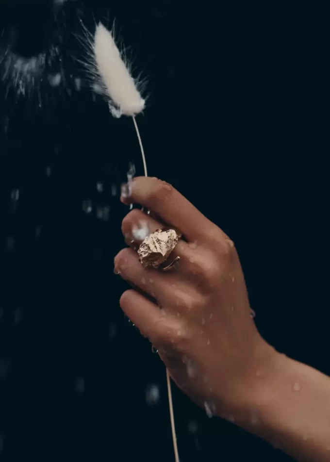 Eroz Ring Edition  24 carat gold gilded