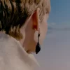 Téré Drop Earrings Edition Black Marble Téré Drop Earrings Edition Black Marble